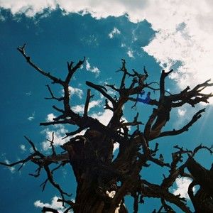 Meet your Posher, Vasco